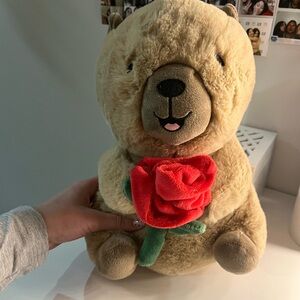 Capybara with Red Rose